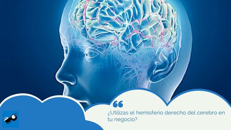 ¿Utilizas el hemisferio derecho del cerebro en tu negocio?